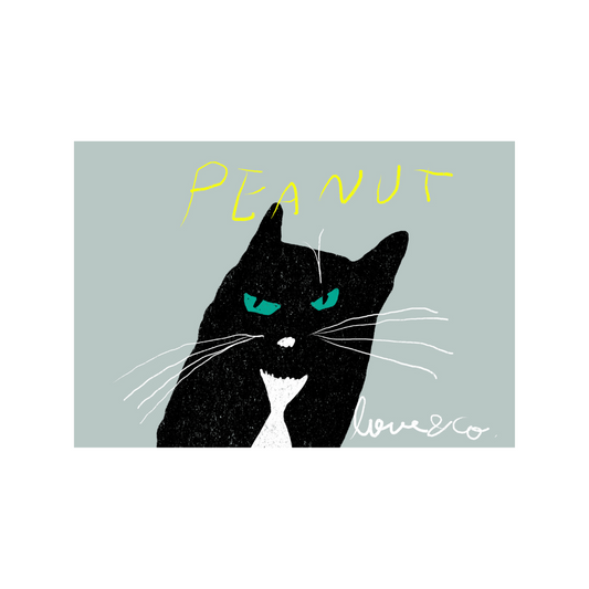 ラブコCATS デジタルアート/PEANUT