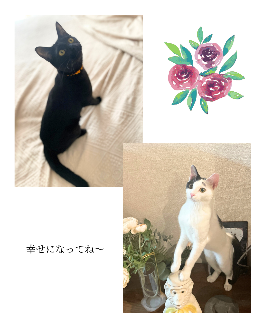 <祝卒業>みつお缶 まゆゆ缶