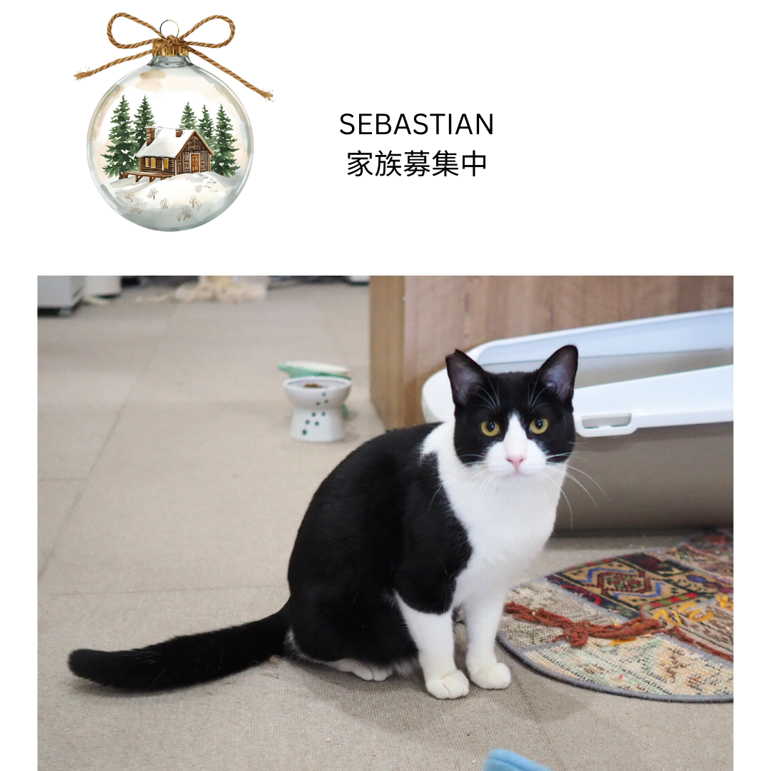 セバスチャンのクリスマスおやつギフト(そればなさんのクッキー&キャラメルコーヒー)