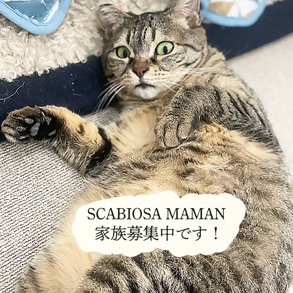スカビーママンの刺繍のオーガニックコットンミニタオル