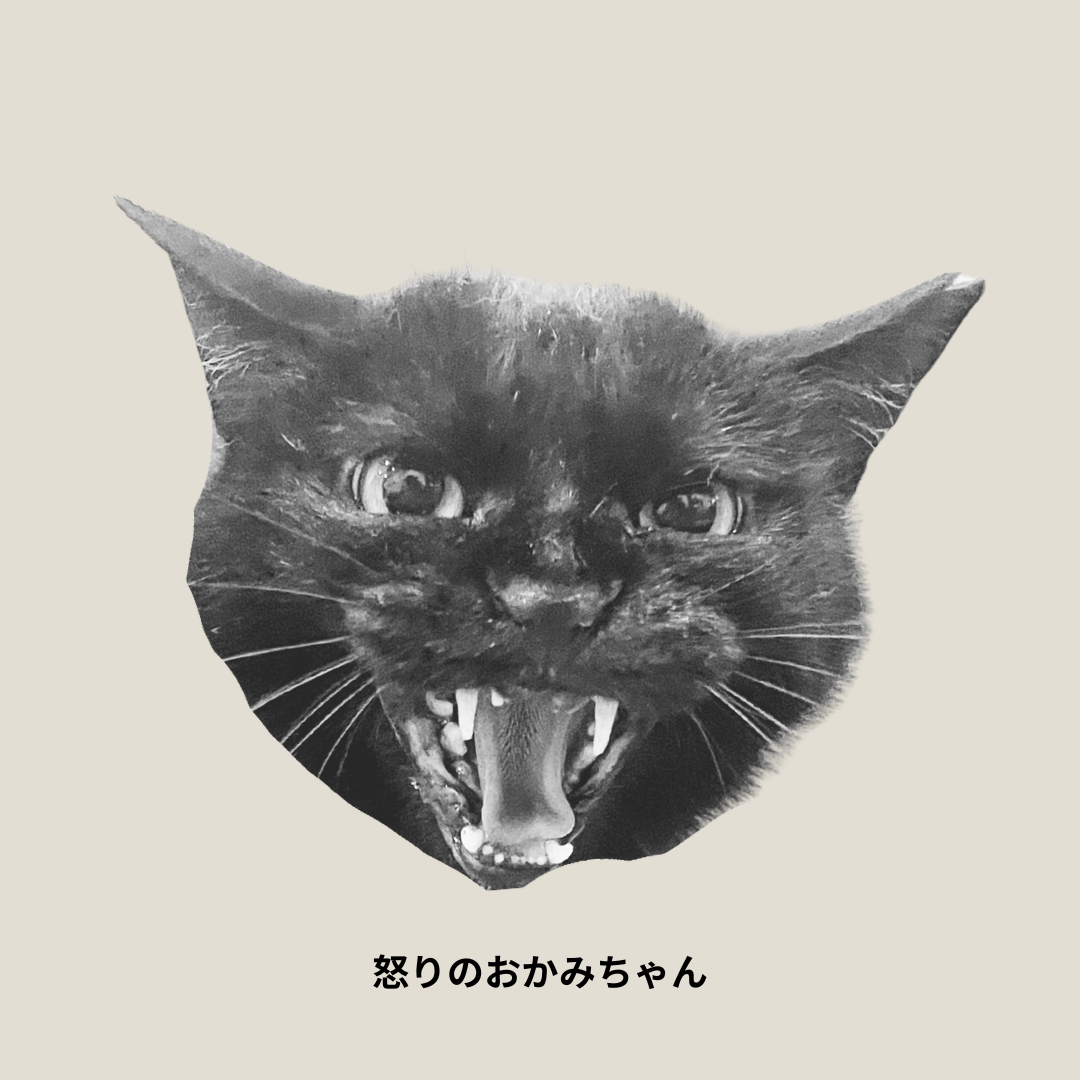 怒りのおかみちゃんトート – 変な人よけ効果(多分)つき