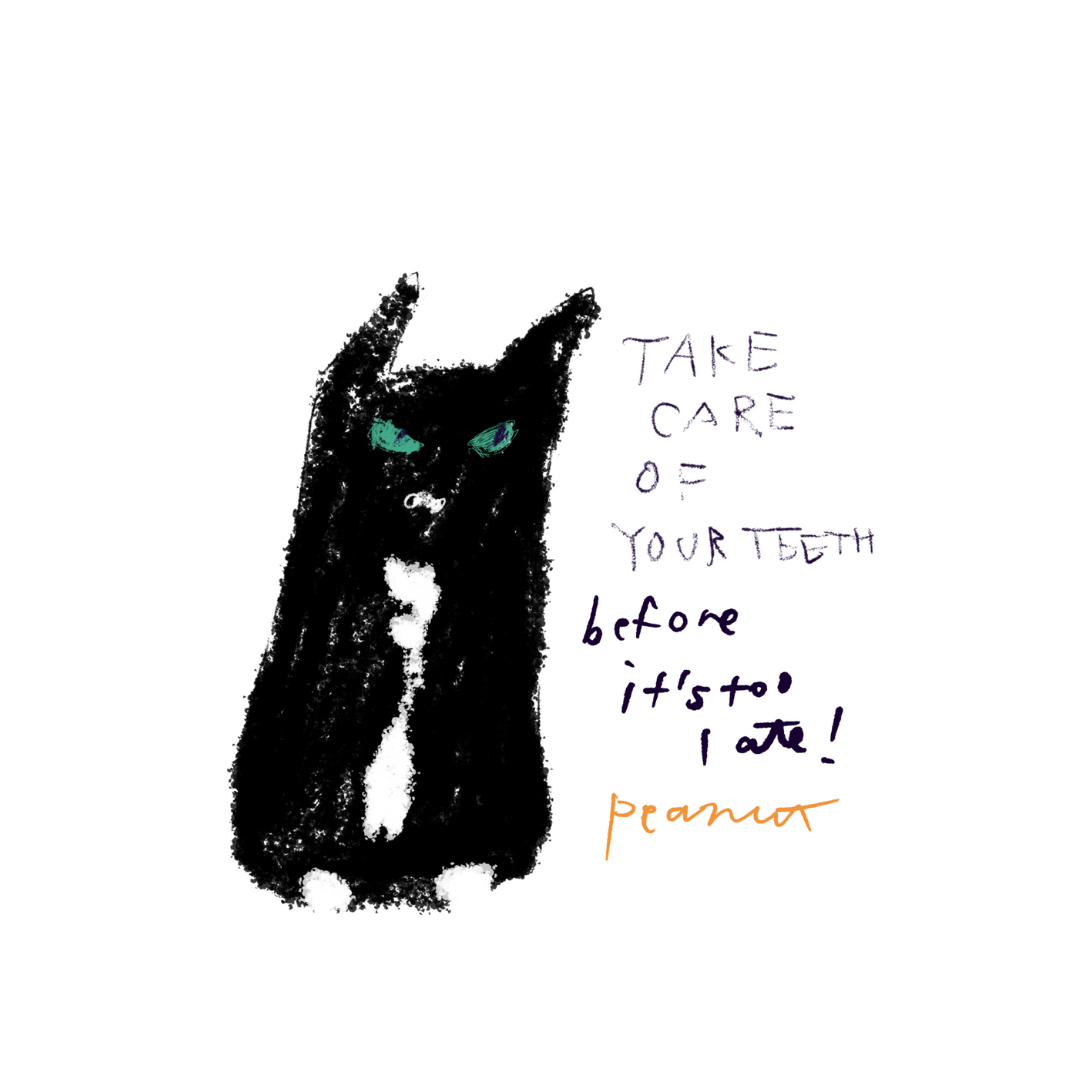 ピーちゃんの抜歯手術代応援 イラストCAT TOY