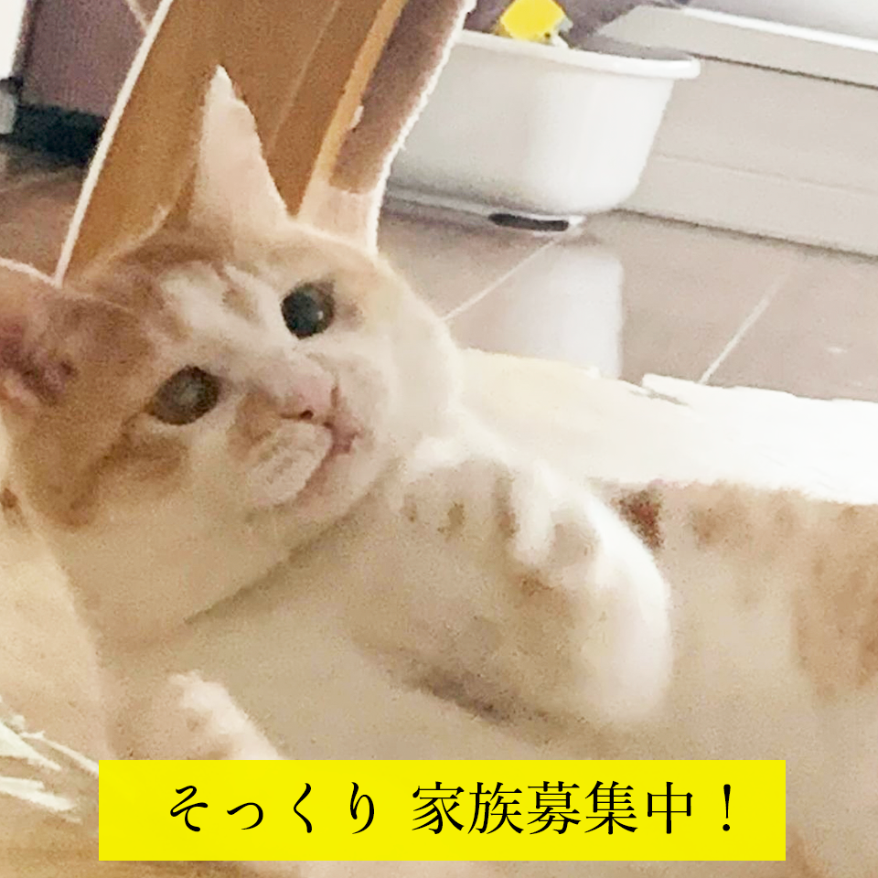 そっくりの 刺繍キッチンクロス おつかれ!