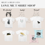 【 LOVE & Co. JOURNAL】WALLY&DORAMIの卒業と新入りCATS