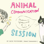 そうだ、動物に聞こう~アニマルコミュニケーション セッション
