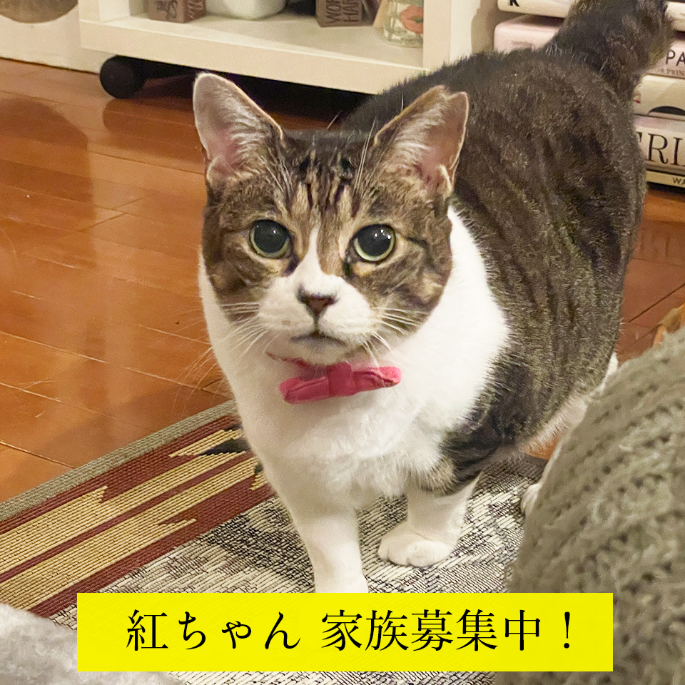 ずんぐりレスラーワッペンのイージーオープンスマホポーチ