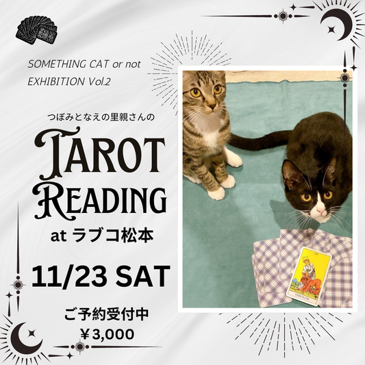 【WORKSHOP】11/23 SAT タロットリーディング  by sunsan Tarot  ¥3,000