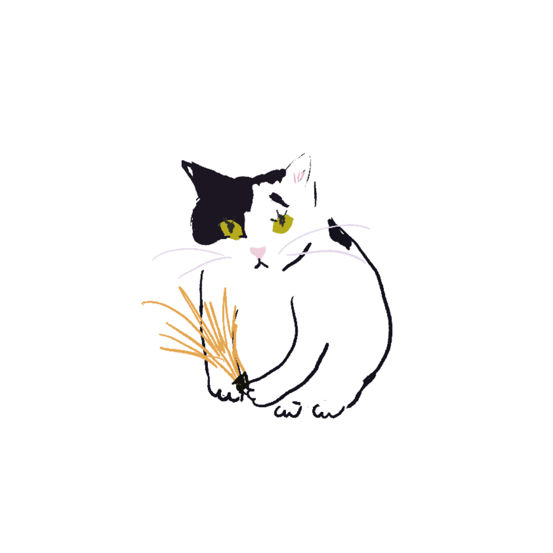 【岩手CATS応援チャリティ】ミニステッカー