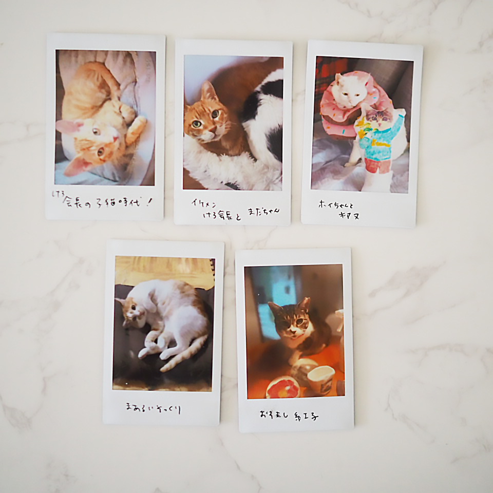 2025 SPRING 春の金欠祭り ぼったくり宝物チェキ – LOVE&Co 2025 SPRING 春の金欠祭り ぼったくり宝物チェキ – LOVE&Co