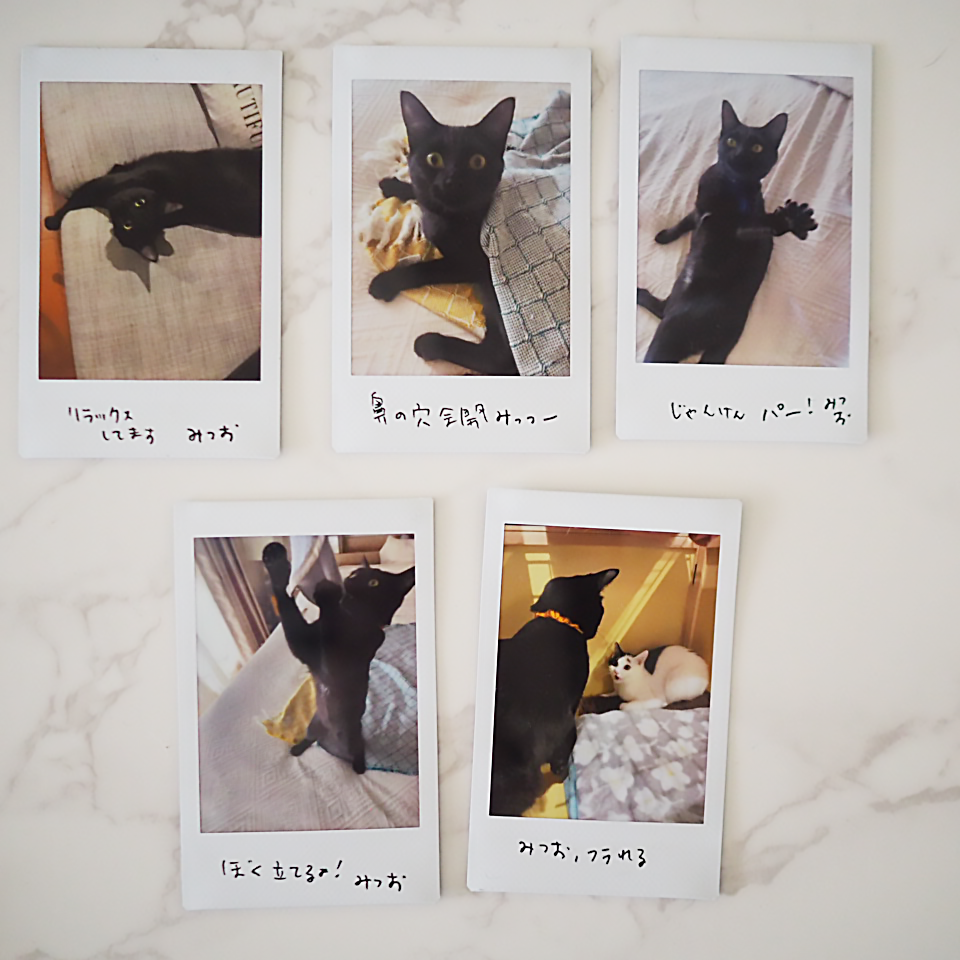 2025 SPRING 春の金欠祭り ぼったくり宝物チェキ – LOVE&Co 2025 SPRING 春の金欠祭り ぼったくり宝物チェキ – LOVE&Co