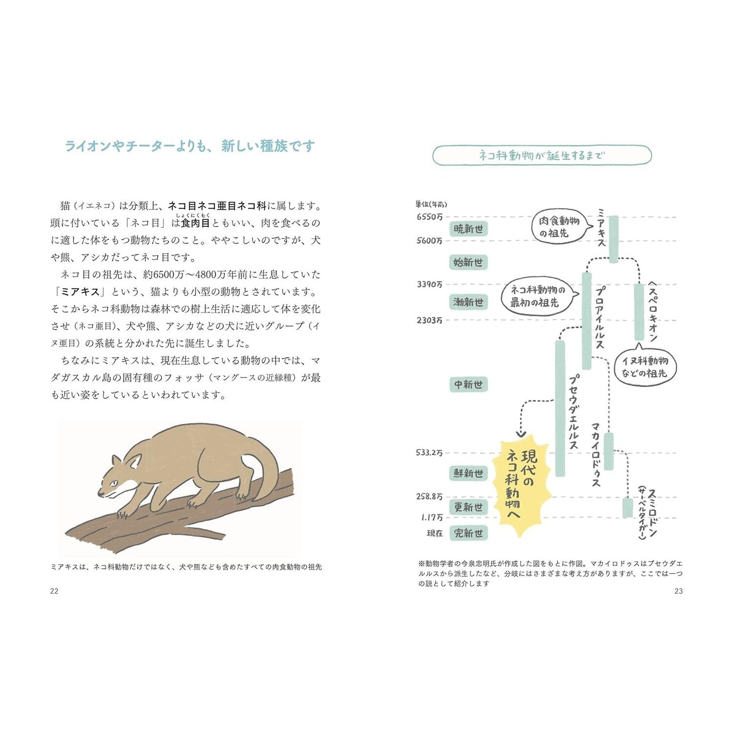 猫からのおねがい 猫も人も幸せになれる迎え方&暮らし