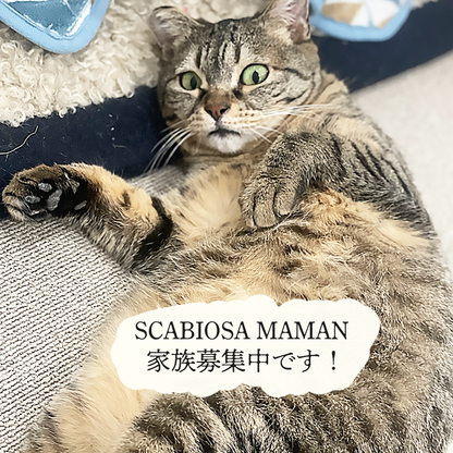 スカビーママンの刺繍のオーガニックコットンミニタオル