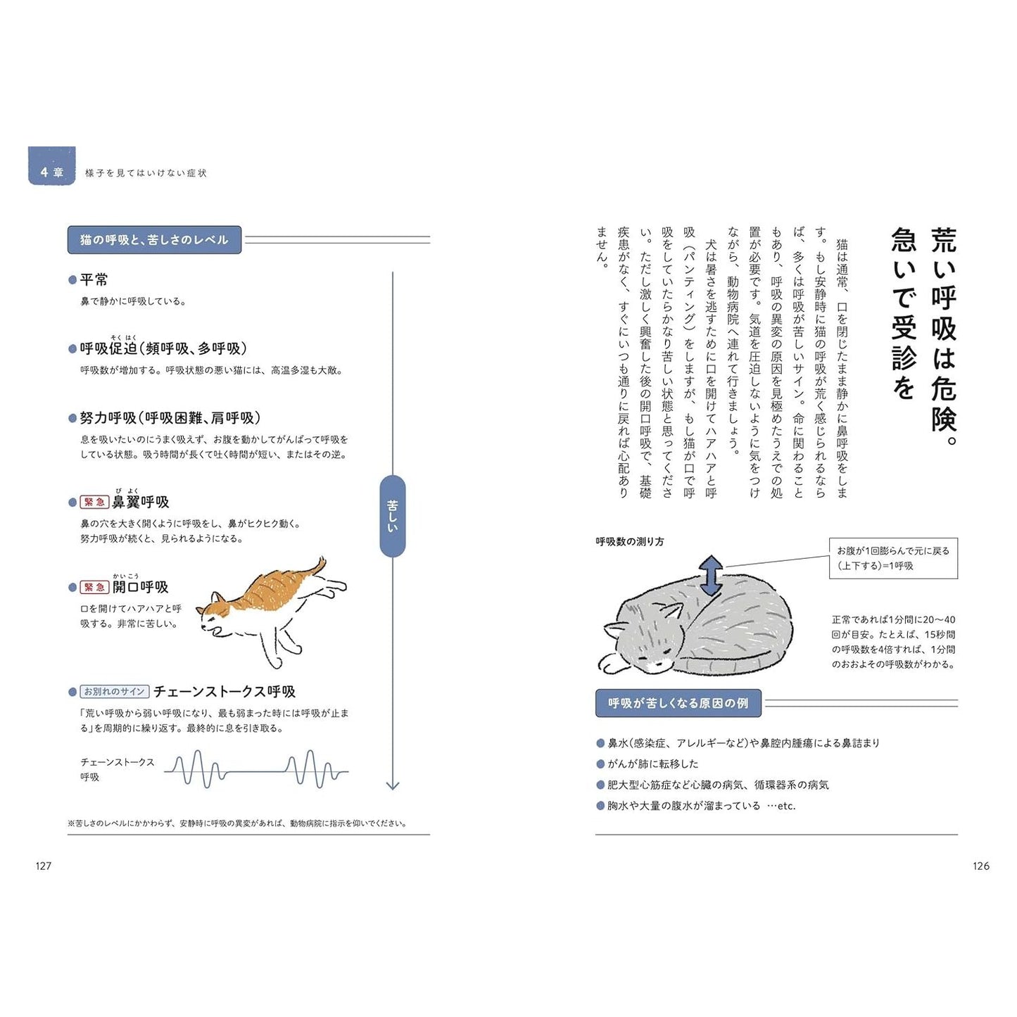 猫の介護ハンドブック　 ～気持ちに寄り添う緩和ケア・ターミナルケア・看取り