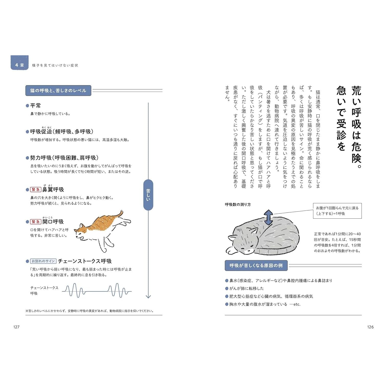 猫の介護ハンドブック　 ～気持ちに寄り添う緩和ケア・ターミナルケア・看取り