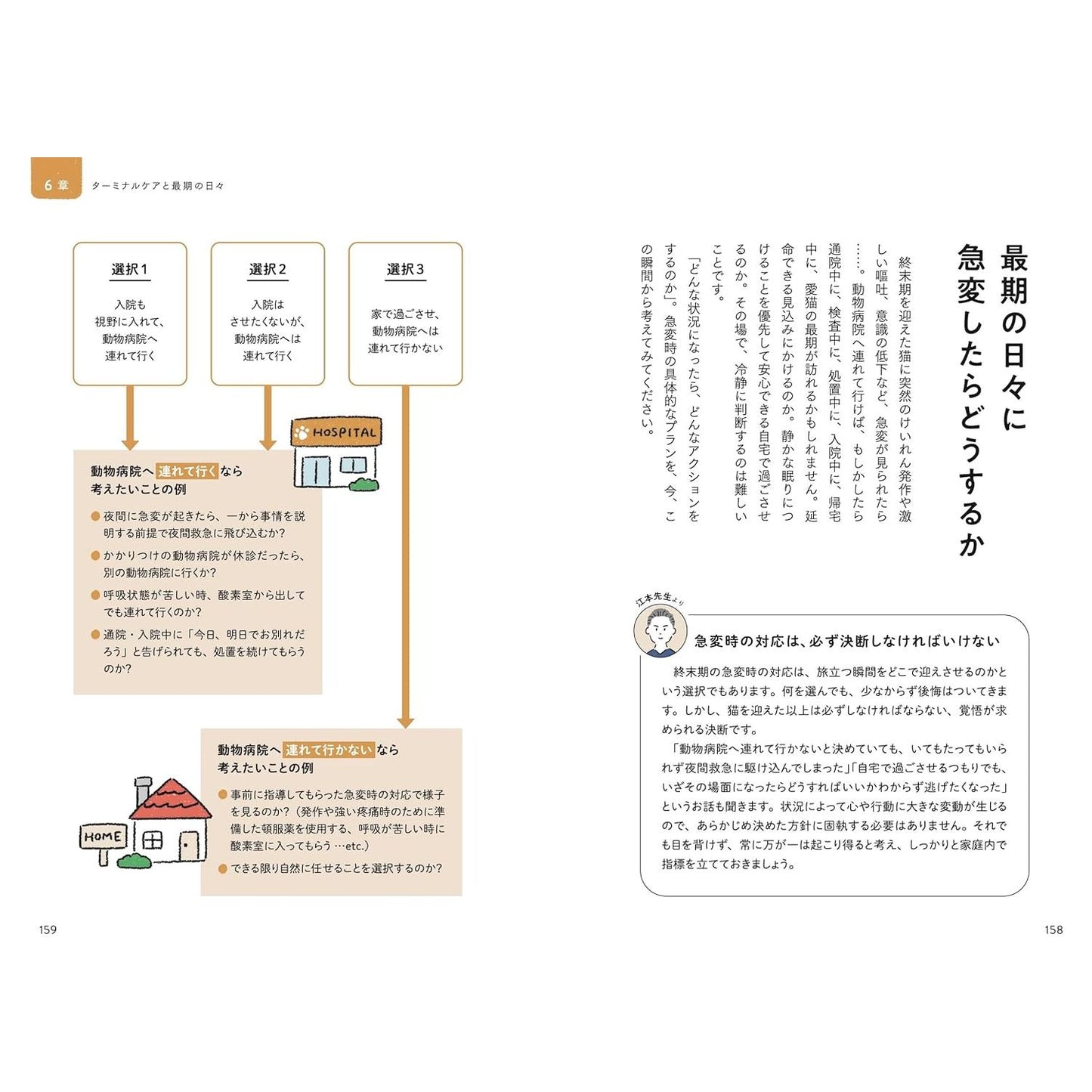 猫の介護ハンドブック　 ～気持ちに寄り添う緩和ケア・ターミナルケア・看取り