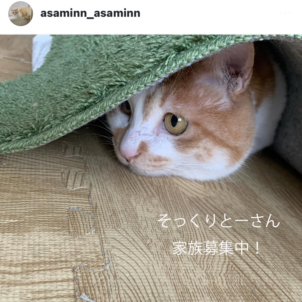そっくりとーさんの刺繍ブローチ