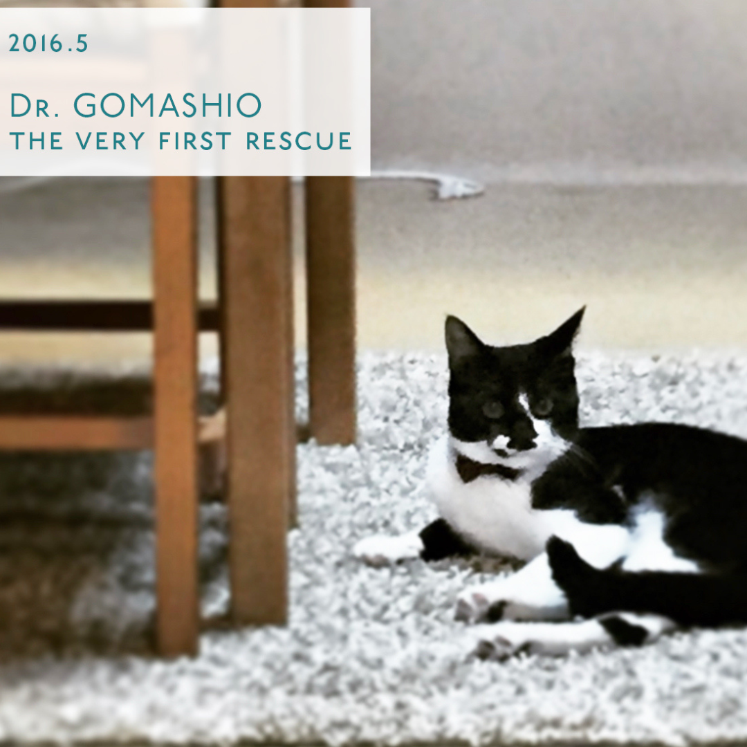 COFFEE LABEL ANTHOLOGY VOL.1 (初回限定ミニパネル＆ドリップコーヒーつき）