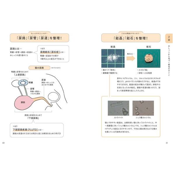 猫の病気のサインがわかる図鑑 〜体調不良や痛みを見逃さないために