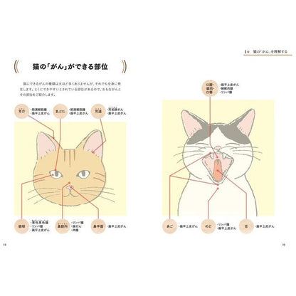 猫の「がん」〜正しく知って、向き合う