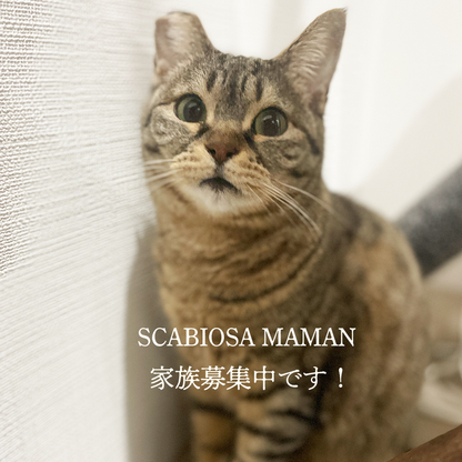 KEIKO YAMASHITAのマルチウェイバッグ & スカビーの刺繍ブローチ