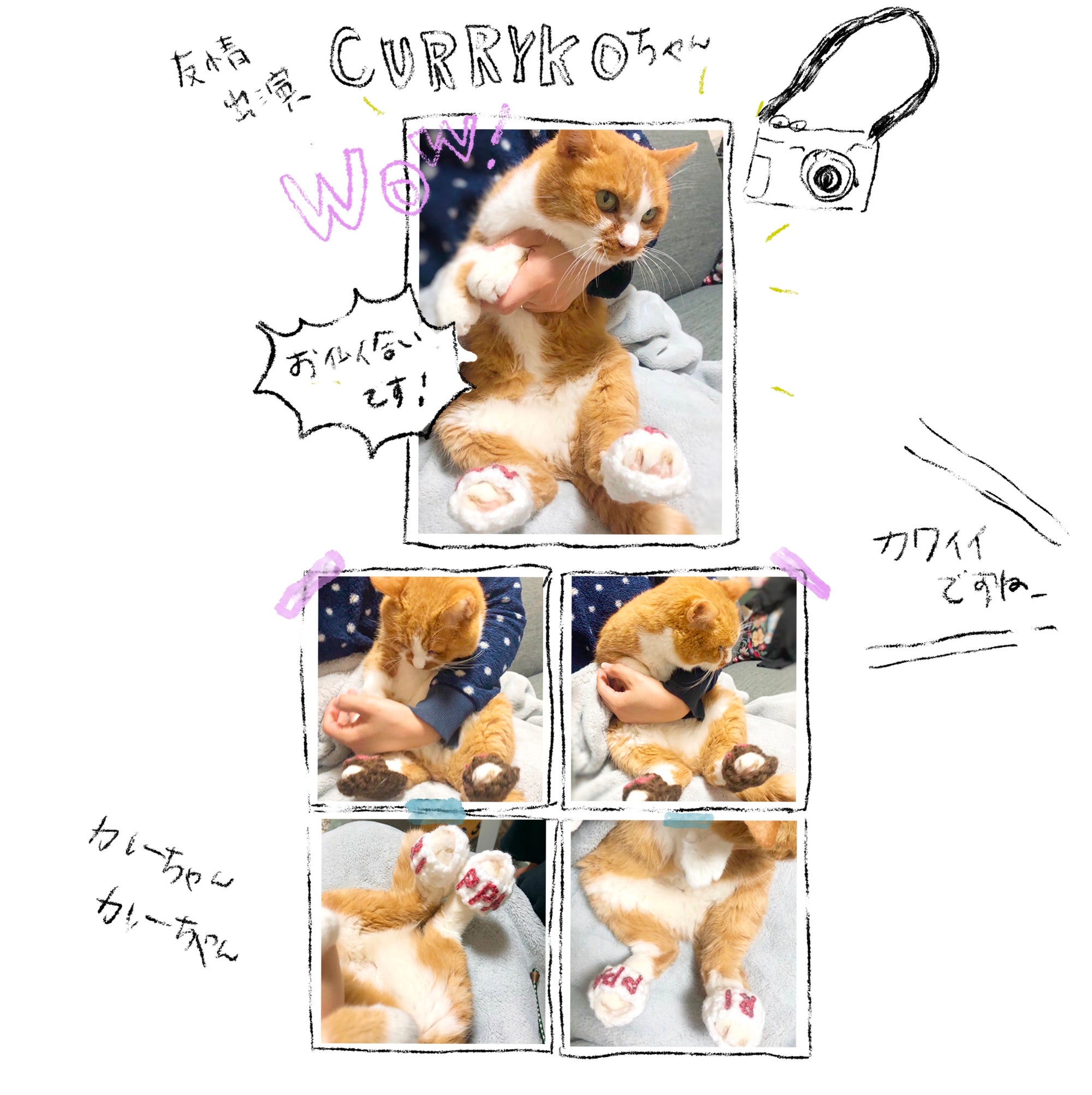 猫のスリッパ りっぱすりっぱ