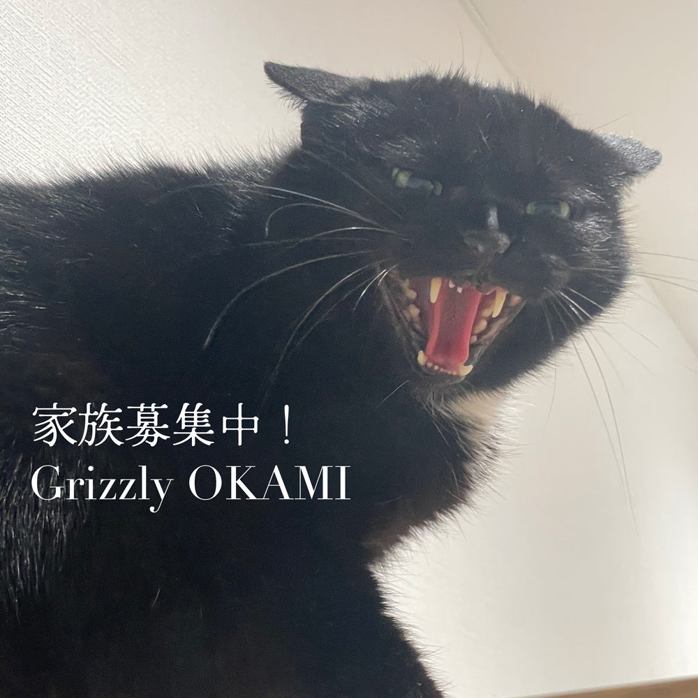 いたやりんご農園さんの自家製　天然甘干しりんご