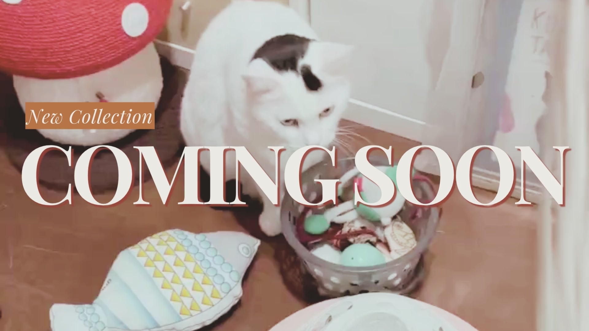 動画を読み込む: 