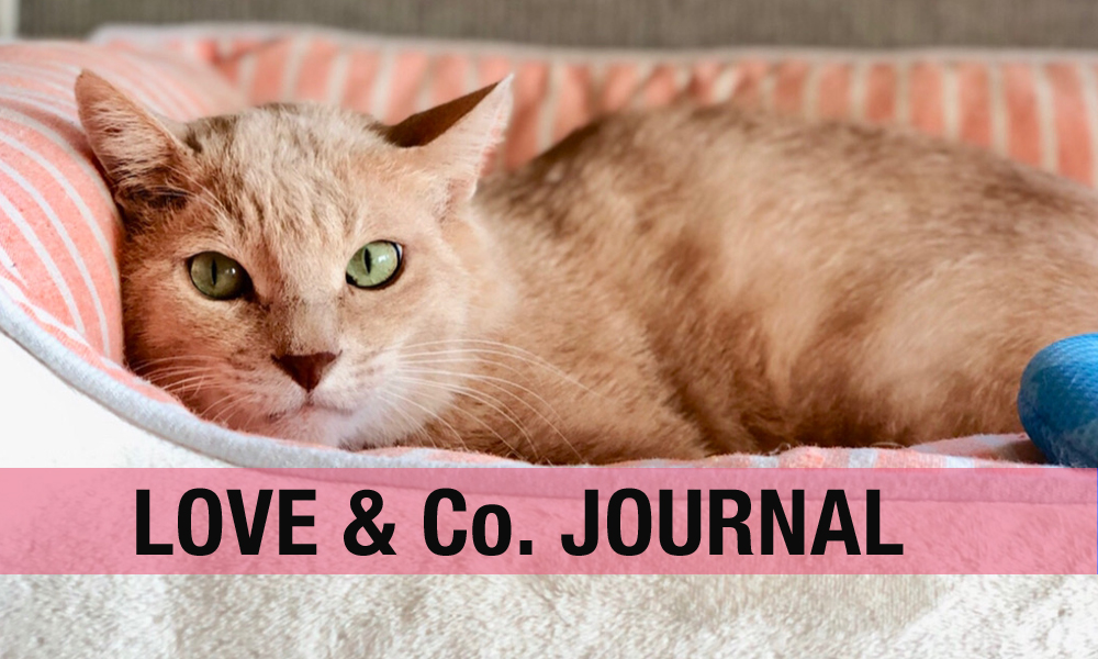 LOVE&Co.journal